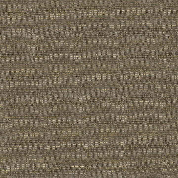 Holmby Texture Truffle by Kasmir Fabric 1424 62% Cotton
38% Rayon
 USA </p><p>Repeat: Horizontal: N/A and Vertical: N/A 58 - 59 - Fabric Carolina -