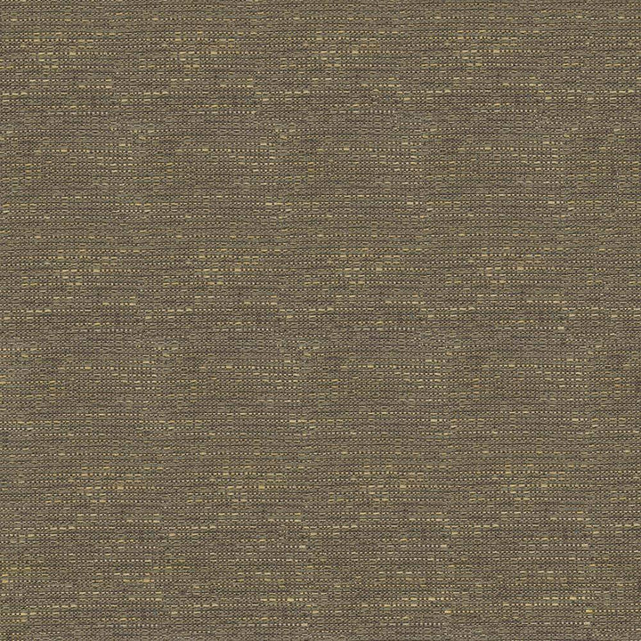 Holmby Texture Truffle by Kasmir Fabric 1424 62% Cotton 38% Rayon USA 38,000 Wyzenbeek Double Rubs H: N/A, V:N/A 58 - 59 - Fabric Carolina - Kasmir