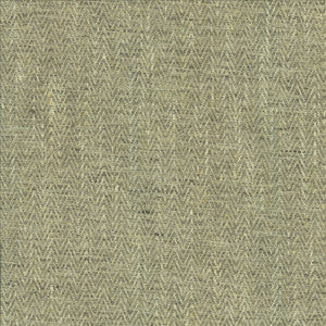 Homestretch Dolphin by Kasmir Fabric