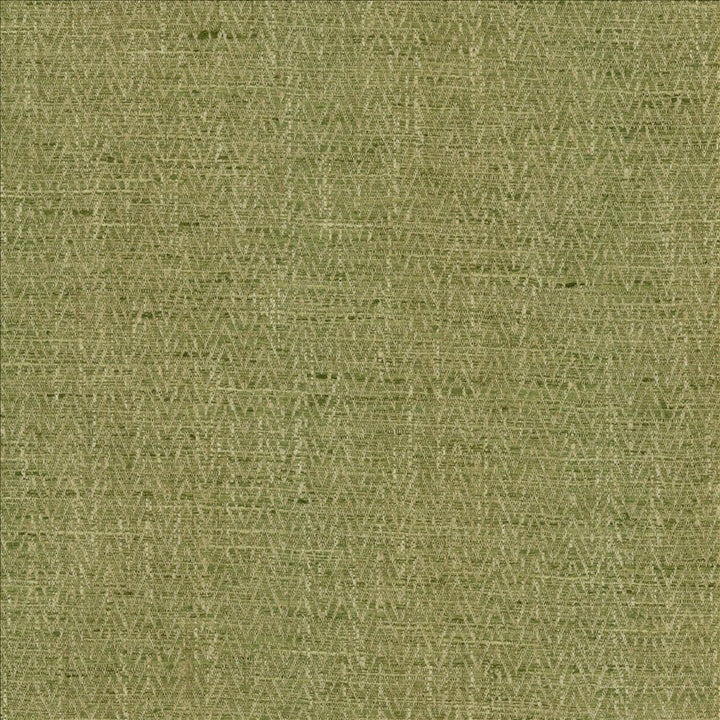 Homestretch Grass by Kasmir Fabric 5162 100% Polyester
 INDIA </p><p>Repeat: Horizontal: 6/8 inches and Vertical: 4/8 inches 54 - Fabric Carolina -