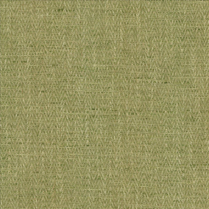 Homestretch Grass by Kasmir Fabric 5162 100% Polyester
 INDIA 30,000 Wyzenbeek Double Rubs </p><p>Repeat: Horizontal: 6/8 inches and Vertical: 4/8 inches 54 - Fabric Carolina -