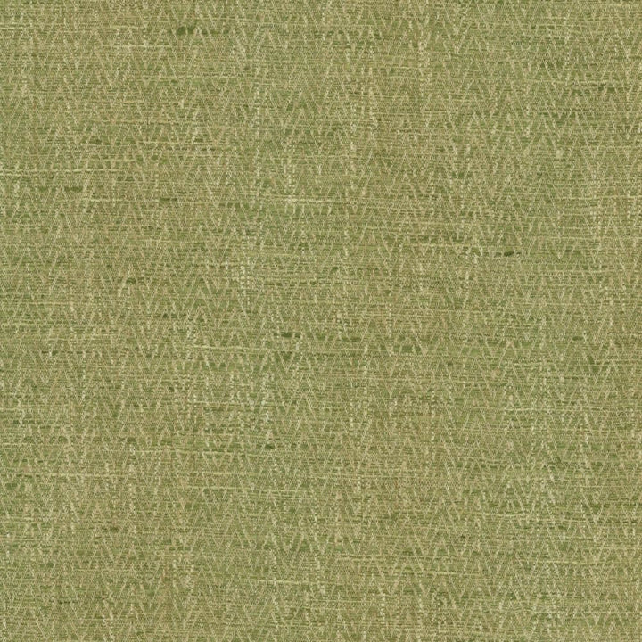 Homestretch Grass by Kasmir Fabric 5162 100% Polyester
 INDIA </p><p>Repeat: Horizontal: 6/8 inches and Vertical: 4/8 inches 54 - Fabric Carolina -