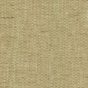 Homestretch Harvest by Kasmir Fabric