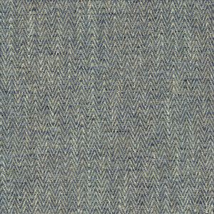 Homestretch Lakeland by Kasmir Fabric