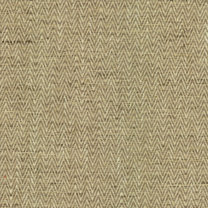 Homestretch Nutmeg by Kasmir Fabric 5162 100% Polyester
 INDIA </p><p>Repeat: Horizontal: 6/8 inches and Vertical: 4/8 inches 54 - Fabric Carolina -