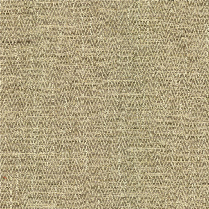 Homestretch Nutmeg by Kasmir Fabric 5162 100% Polyester
 INDIA 30,000 Wyzenbeek Double Rubs </p><p>Repeat: Horizontal: 6/8 inches and Vertical: 4/8 inches 54 - Fabric Carolina -