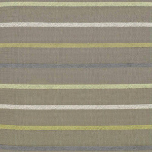 Horticall Stripe Lime by Kasmir Fabric