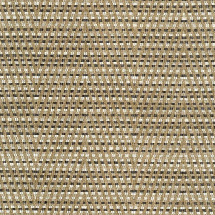 Hot To Trot Platinum by Kasmir Fabric 5113 78% Polyester 22% Cotton INDIA 25,000 Wyzenbeek Double Rubs H: 6 7/8 inches, V:14 6/8 inches 54 - 56 - Fabric Carolina - Kasmir