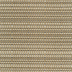 Hot To Trot Platinum by Kasmir Fabric