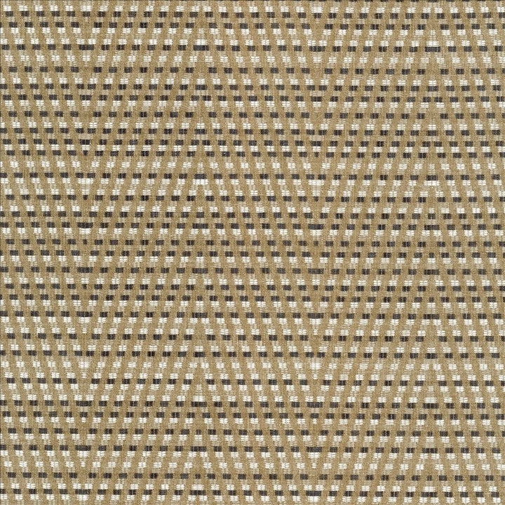 Hot To Trot Platinum by Kasmir Fabric 5113 78% Polyester
22% Cotton
 INDIA 25,000 Wyzenbeek Double Rubs Horizontal: 6 7/8 inches and Vertical: 14 6/8 inches 54 - Fabric Carolina -