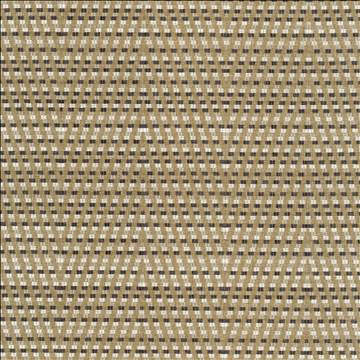 Hot To Trot Platinum by Kasmir Fabric 5113 78% Polyester 22% Cotton INDIA 25,000 Wyzenbeek Double Rubs H: 6 7/8 inches, V: 14 6/8 inches 54 - 56 - Fabric Carolina - Kasmir