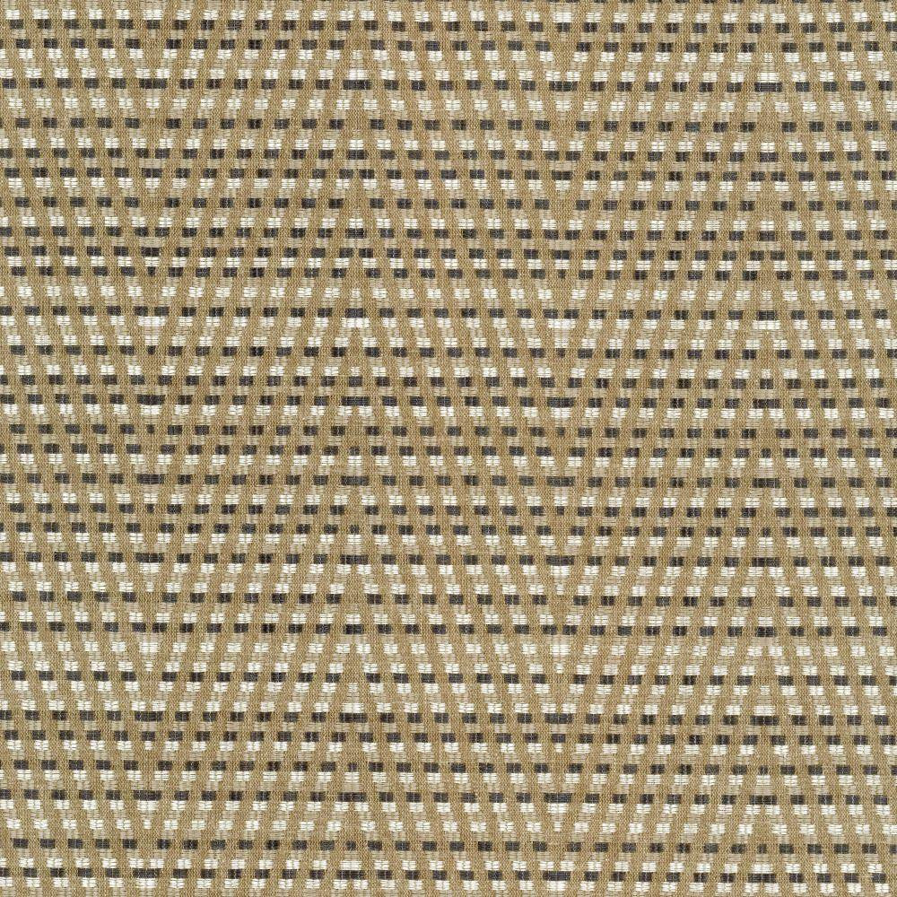 Hot To Trot Platinum by Kasmir Fabric 5113 78% Polyester
22% Cotton
 INDIA </p><p>Repeat: Horizontal: 6 7/8 inches and Vertical: 14 6/8 inches 54 - 56 - Fabric Carolina -