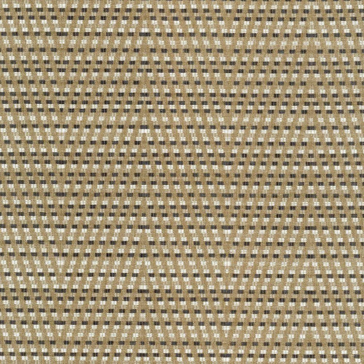 Hot To Trot Platinum by Kasmir Fabric 5113 78% Polyester
22% Cotton
 INDIA </p><p>Repeat: Horizontal: 6 7/8 inches and Vertical: 14 6/8 inches 54 - 56 - Fabric Carolina -