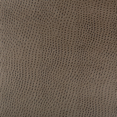 Kravet Design Hubble-106 by Kravet Design Fabric