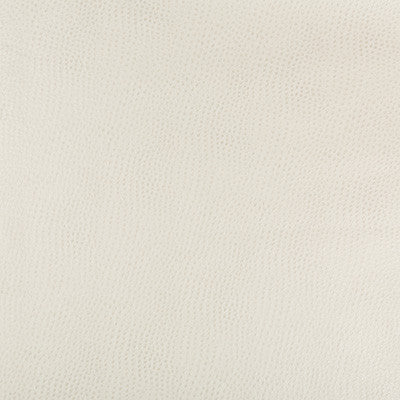 Kravet Design Hubble-111 by Kravet Design Fabric