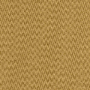 Hypnotic Gold by Kasmir Fabric