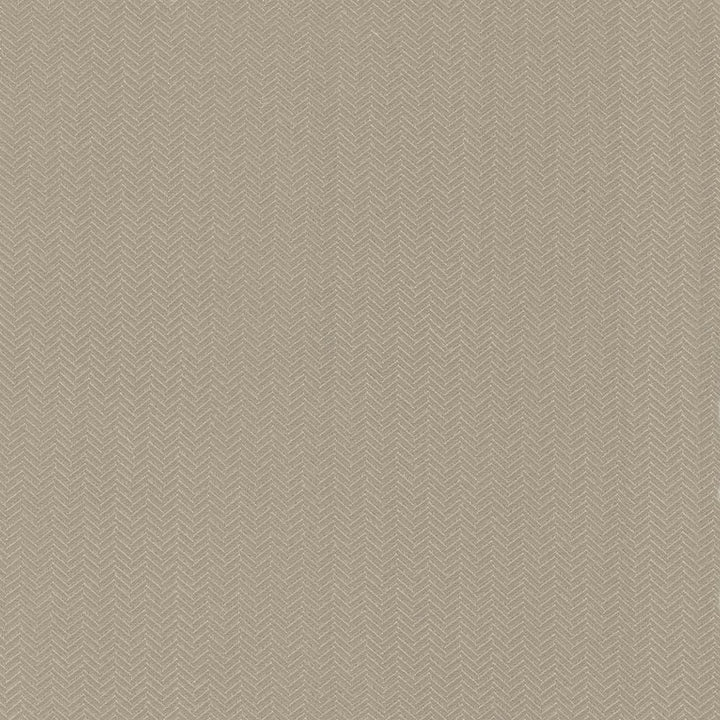 Hypnotic Latte by Kasmir Fabric 5092 54% Polyester
46% Cotton
 TAIWAN </p><p>Repeat: Horizontal: 6/8 inches and Vertical: 2/8 inches 54 - 55 - Fabric Carolina -