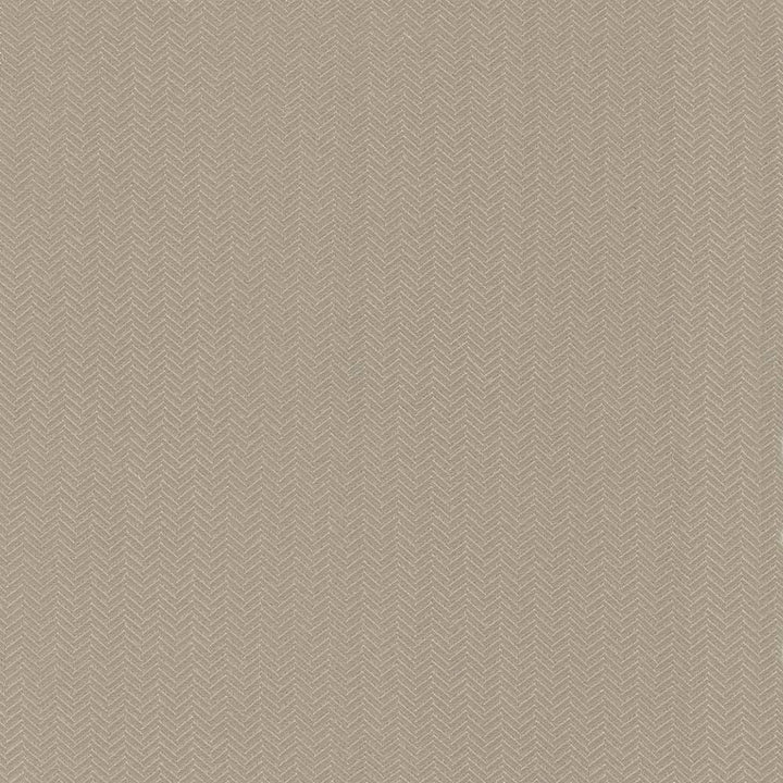 Hypnotic Latte by Kasmir Fabric 5092 TAIWAN Not Tested H: 6/8 inches, V:2/8 inches 54 - 55 - Fabric Carolina - Kasmir