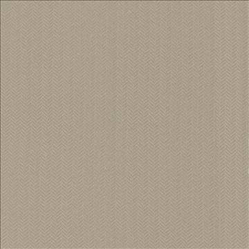 Hypnotic Latte by Kasmir Fabric 5092 54% Polyester 46% Cotton TAIWAN Not Tested H: 6/8 inches, V: 2/8 inches 54 - 55 - Fabric Carolina - Kasmir