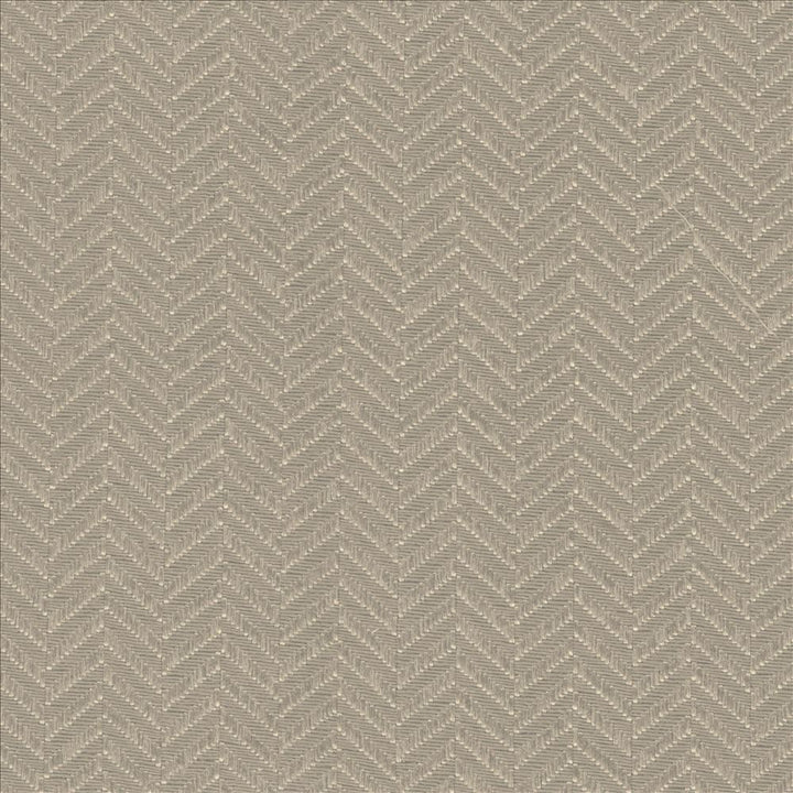 Hypnotic Latte by Kasmir Fabric 5092 54% Polyester
46% Cotton
 TAIWAN </p><p>Repeat: Horizontal: 6/8 inches and Vertical: 2/8 inches 54 - 55 - Fabric Carolina -