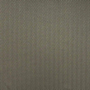 Hypnotic Pewter by Kasmir Fabric