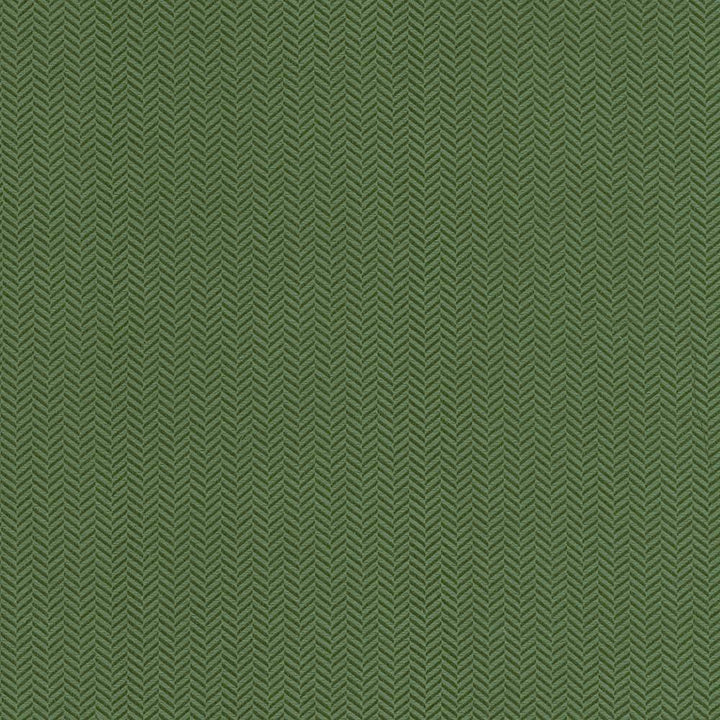 Hypnotic Pine by Kasmir Fabric 5099 TAIWAN Not Tested H: 6/8 inches, V:2/8 inches 54 - 55 - Fabric Carolina - Kasmir