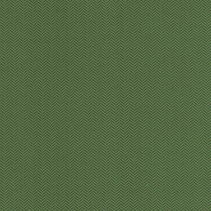 Hypnotic Pine by Kasmir Fabric 5099 54% Polyester
46% Cotton
 TAIWAN </p><p>Repeat: Horizontal: 6/8 inches and Vertical: 2/8 inches 54 - 55 - Fabric Carolina -