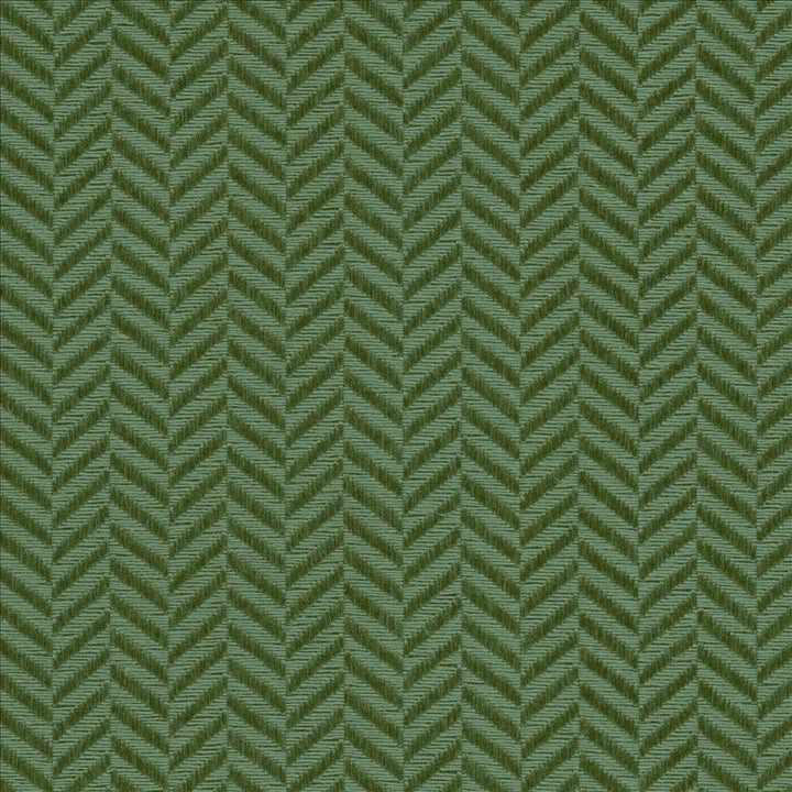 Hypnotic Pine by Kasmir Fabric 5099 54% Polyester
46% Cotton
 TAIWAN </p><p>Repeat: Horizontal: 6/8 inches and Vertical: 2/8 inches 54 - 55 - Fabric Carolina -