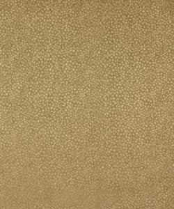 Nassau 11012 M10285 by Barrow Fabric