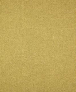 Thick And Thin Thyme M9269 by Barrow Fabric