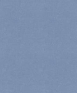 Ramona 11901 M9989 By Barrow Industries Fabric