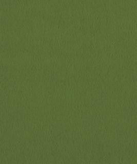Santiago 2105 M10751 by Barrow Industries Fabric Barrow Industries Fabric Santiago 2105 M10751Fabric DRS SANTIAGO 100% POLYESTER KNIT PILE FABRIC Imported </p><p>Repeat: H: , V: 57" - Fabric Carolina -