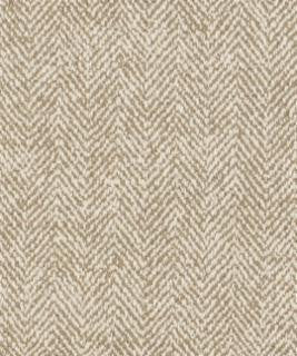Term 31113 M10316 by Barrow Industries Fabric Barrow Industries Fabric Term 31113 M10316Fabric 22CL05 100% POLYESTER (S) Imported </p><p>Repeat: H: , V: 58" - Fabric Carolina -