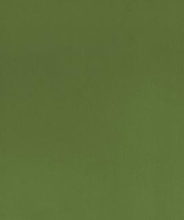 Santiago 12105 M10751 by Barrow Industries Fabric 21C11 100% POLYESTER KNIT PILE FABRIC CHINA </p><p>Repeat: Horizontal: and Vertical: 54" Minimum - Fabric Carolina -