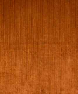 Sheen Tamarind M9277 by Barrow Fabric 12C01 95% POLYESTER 5% NYLON CHINA 30,000 DOUBLE RUBS </p><p>Repeat: Horizontal: and Vertical: 54" Minimum - Fabric Carolina -