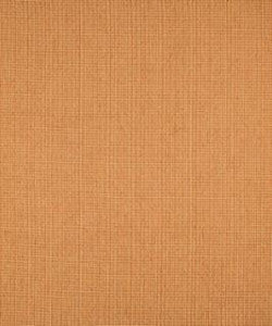 Playground 11405 M9488 by Barrow Fabric