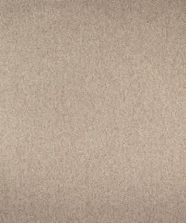 Diffuse Linen M9890 by Barrow Designer Fabric 15C06 57% POLYESTER FILAMENT-TEXTURED 43% POLYESTER FILAMENT NON-TEXTURED CHINA 42,000 DOUBLE RUBS </p><p>Repeat: Horizontal: and Vertical: 54" Minimum - Swanky Fabrics -