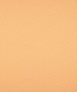 Arundel 11215 M9729 by Barrow Designer Fabric 16C09 69% COTTON 31% POLYESTER (F) CHINA 50,000 DOUBLE RUBS </p><p>Repeat: Horizontal: 1 3/4" and Vertical: 1 7/8" 54" Minimum - Swanky Fabrics -