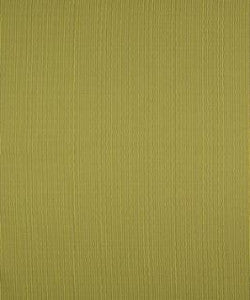 Terrapin Creek Kiwi M8926 By Barrow Industries Fabric