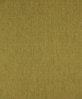 Galley Lime M8925 by Barrow Fabric 15CL02 100% POLYESTER CHINA 12,000 DOUBLE RUBS </p><p>Repeat: Horizontal: N/A and Vertical: N/A 54" Minimum - Fabric Carolina -