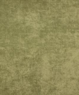 Shine Fern M9276 by Barrow Designer Fabric 12C01 93% POLYESTER
7% NYLON CHINA 30,000 DOUBLE RUBS </p><p>Repeat: Horizontal: and Vertical: 54" Minimum - Swanky Fabrics -
