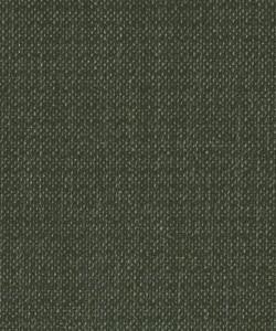 Damien Neptune M7889 by Barrow Industries Designer Fabric Chair Pattern/2872 100% POLYESTER Asia 24,000 DOUBLE RUBS Horizontal: N/A and Vertical: N/A 58" - Swanky Fabrics -