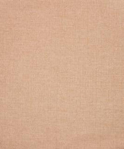 Jojoba 11303 M10538R By Barrow Industries Fabric