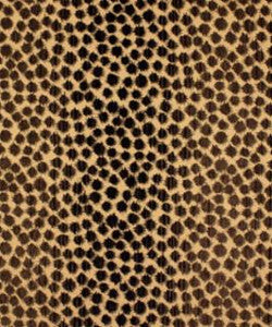 Wilder Briar M9416 by Barrow Fabric