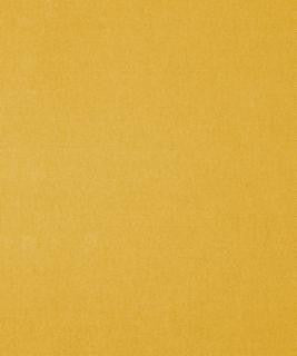 Genesis 11204 M11113 by Barrow Industries Fabric 21C07 100% POLYESTER CHINA </p><p>Repeat: Horizontal: and Vertical: 54" Minimum - Fabric Carolina -