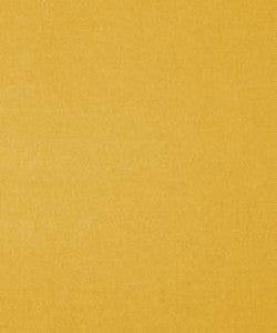 Genesis 11204 M11113 by Barrow Industries Fabric