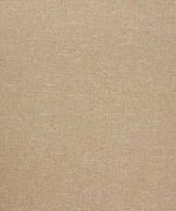 Blaise 11304 M10697 By Barrow Industries Fabric