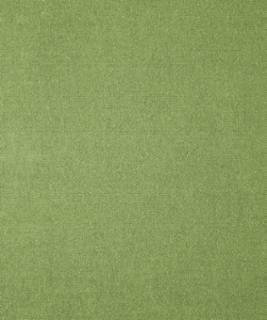 Genesis 12106 M11113 by Barrow Industries Fabric 21C07 100% POLYESTER CHINA </p><p>Repeat: Horizontal: and Vertical: 54" Minimum - Fabric Carolina -