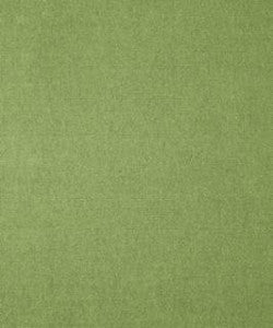Genesis 12106 M11113 by Barrow Industries Fabric