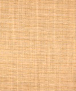 Deming 11304 M9495 by Barrow Fabric